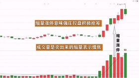王中王一肖平碼，揭秘背后的故事與SEO策略，王中王一肖平碼背后的故事與SEO策略揭秘