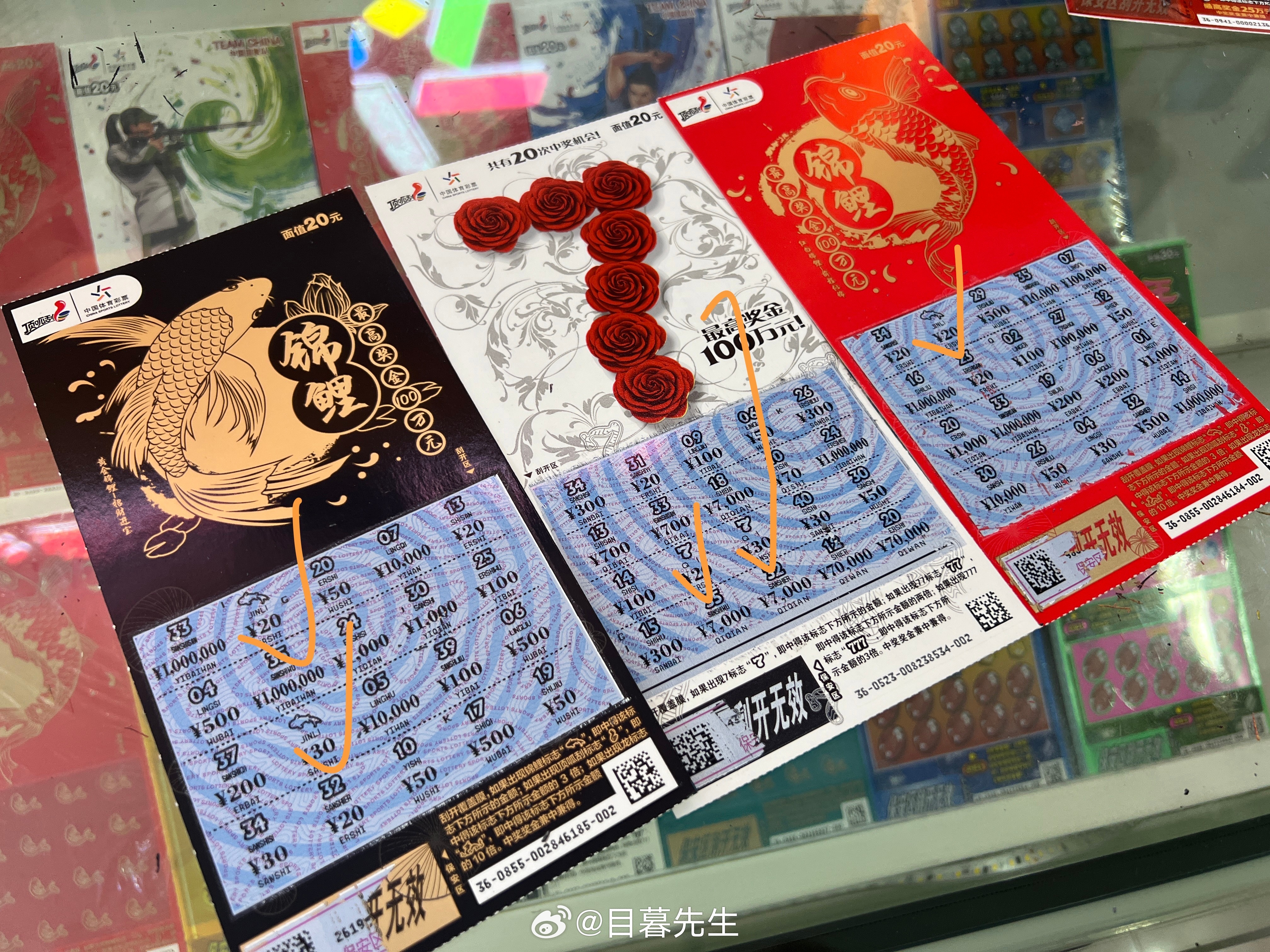 全年王中王一肖中特，深度解析與預(yù)測(cè)，全年王中王一肖深度解析與預(yù)測(cè)，揭秘特肖趨勢(shì)