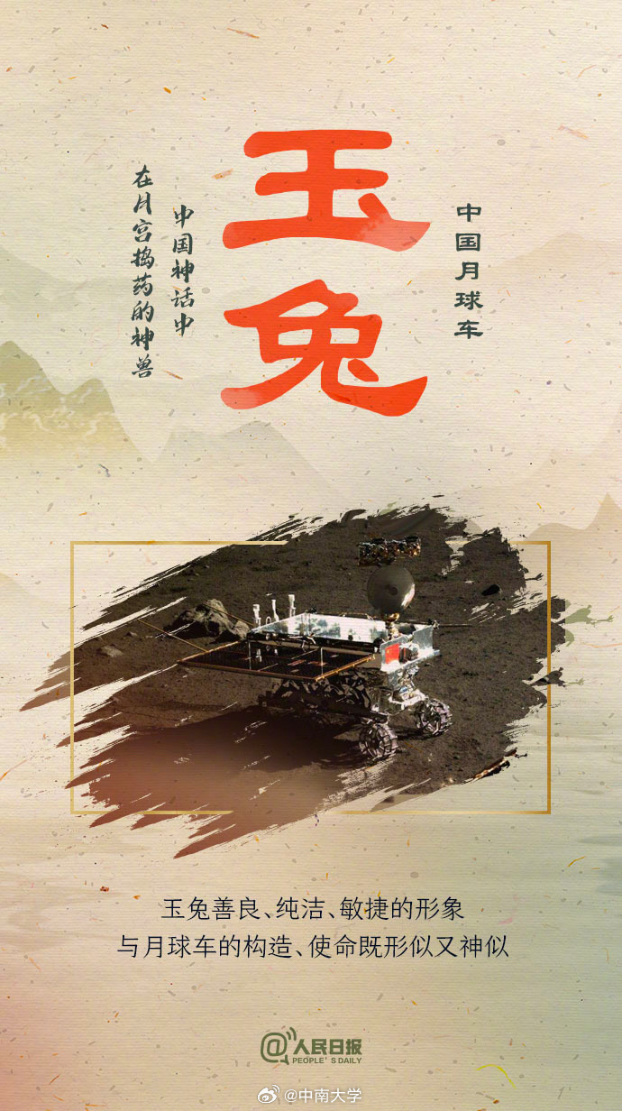 揭秘王中王平特一肖免會公開的奧秘，王中王平特一肖免公開揭秘奧秘
