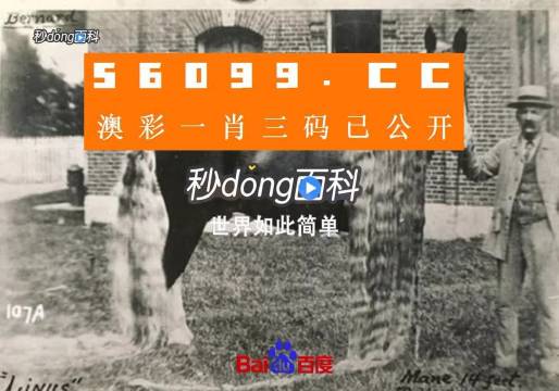 澳門王中王心水王中王，探索與解析，澳門王中王心水奧秘，深度探索與解析