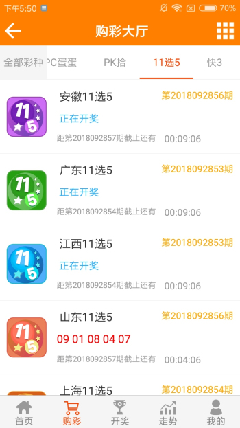 王中王黃金一肖二碼資料，深度解析與SEO優(yōu)化，王中王黃金一肖二碼資料深度解析與SEO優(yōu)化技巧