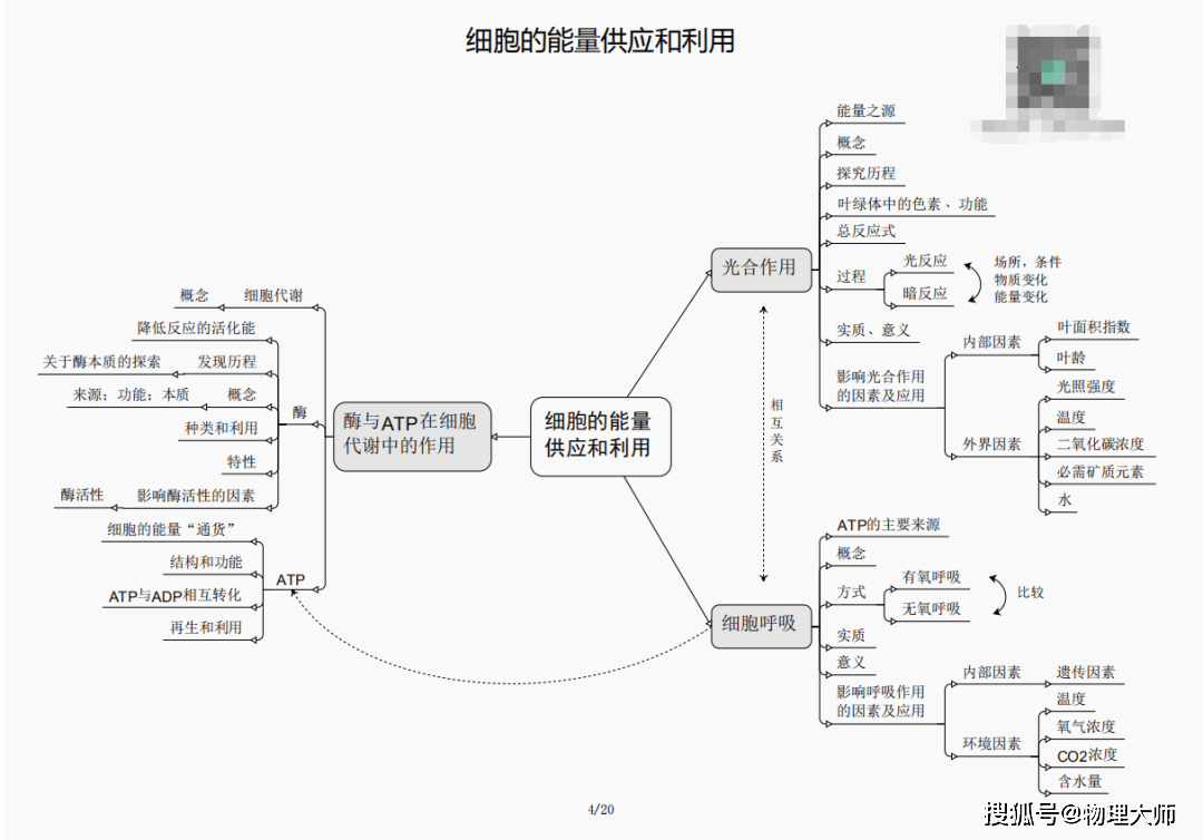 揭秘劉伯溫四肖三期內(nèi)必出一，神秘預(yù)言背后的真相，劉伯溫四肖三期預(yù)言真相揭秘，神秘預(yù)言背后的必然與偶然