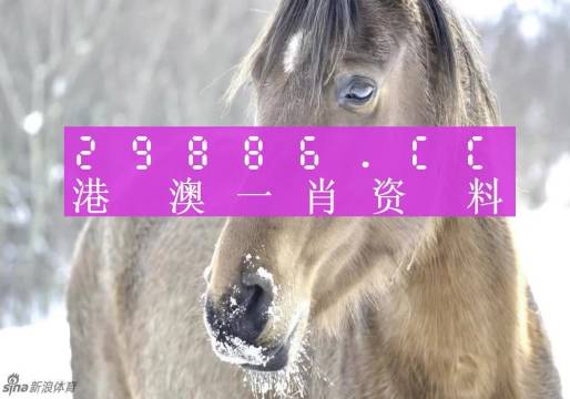 澳門(mén)一肖一碼背后的故事，一個(gè)關(guān)于精準(zhǔn)預(yù)測(cè)與傳奇的揭秘，澳門(mén)一肖一碼傳奇背后的精準(zhǔn)預(yù)測(cè)與揭秘之旅