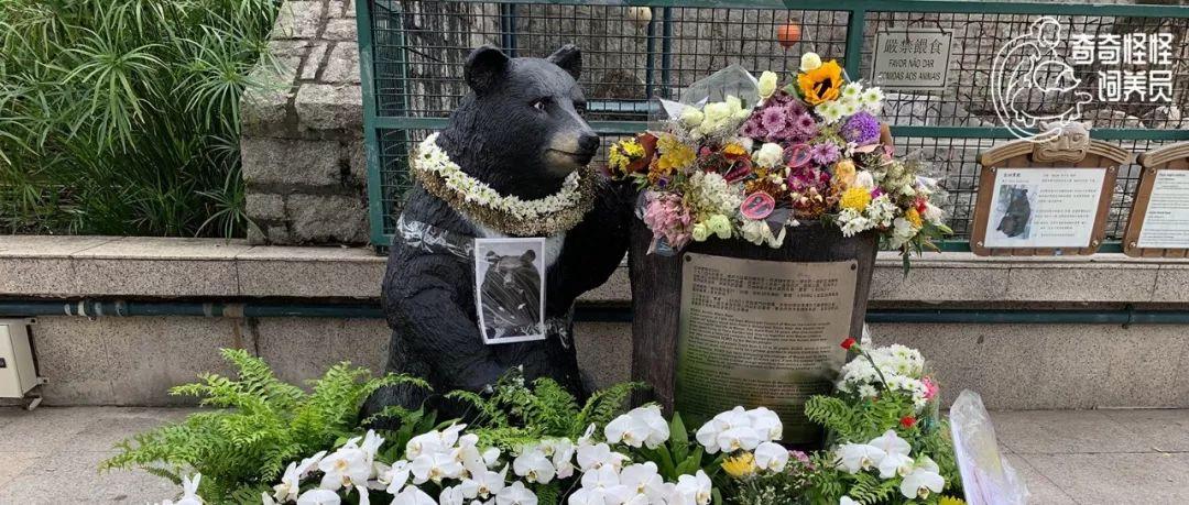 澳門最快開獎現場，揭秘彩票開獎的即時速度與激情，澳門最快開獎現場揭秘，彩票開獎的速度與激情