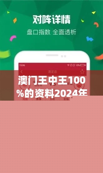 王中王網(wǎng)站一肖，探索與SEO優(yōu)化策略，王中王網(wǎng)站一肖，深度探索與SEO優(yōu)化策略實踐
