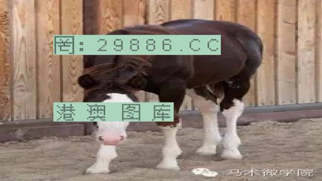 揭秘446999一肖中特馬之秘密，掌握中獎玄機(jī)！，揭秘特馬中獎玄機(jī)，446999一肖中的秘密大揭秘！