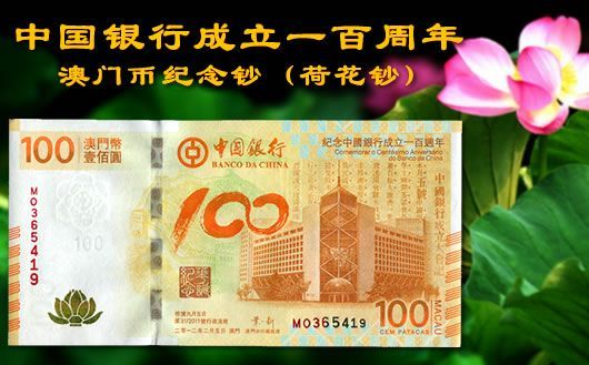新澳門掛牌正版掛牌完整掛牌，探索與解析，澳門正版掛牌詳解，探索完整流程與解析
