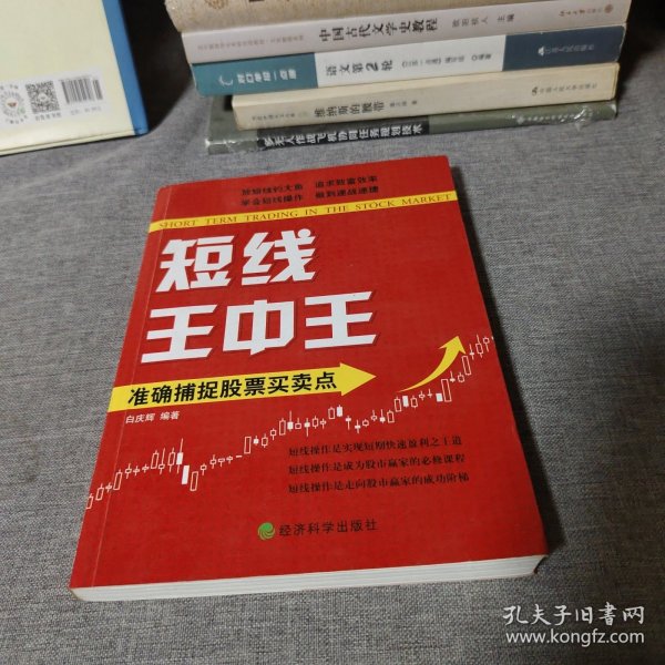 王中王平特一肖中的奧秘與探索，王中王平特一肖的奧秘與探索之旅