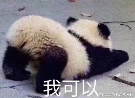 澳門精準四不像最新正版，揭秘與探索，澳門精準四不像揭秘與探索最新正版資訊