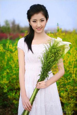 新澳門生肖走勢圖精準(zhǔn)版，解讀與SEO策略，新澳門生肖走勢圖精準(zhǔn)解讀與SEO策略揭秘