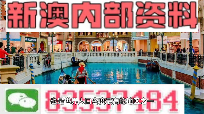 新澳最精準(zhǔn)龍門客棧，探索獨(dú)特魅力的旅游住宿體驗(yàn)，新澳龍門客棧，獨(dú)特魅力的旅游住宿體驗(yàn)探索