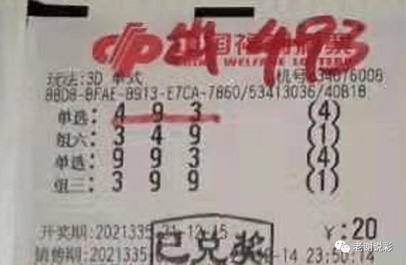 新奧門彩天天開獎資料一網(wǎng)羅萬象，揭秘彩票奧秘，揭秘彩票奧秘，新奧門彩天天開獎資料一網(wǎng)羅萬象