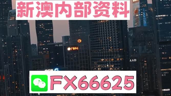 澳門跑狗，探索與解析，澳門跑狗，探索與解析之道