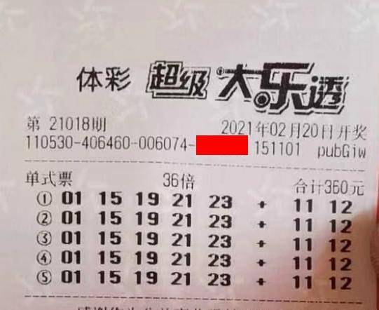 王中王018期指一生肖，揭秘背后的奧秘與意義，揭秘生肖奧秘，王中王生肖背后的意義與秘密