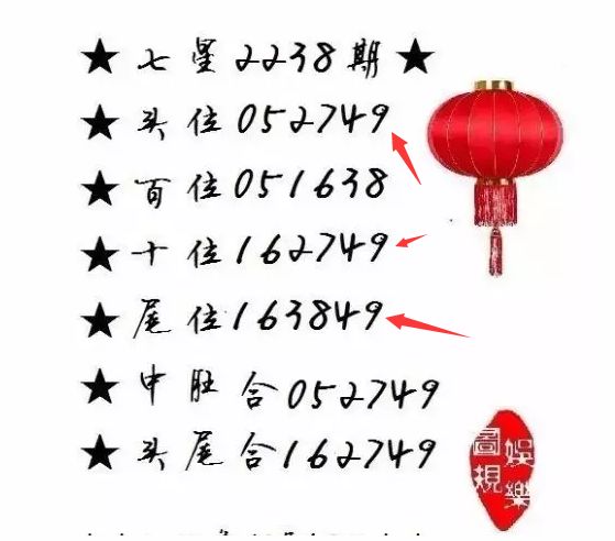 王中王一肖尾數(shù)資料，深度解析與探索，王中王一肖尾數(shù)資料深度解析與探索之旅