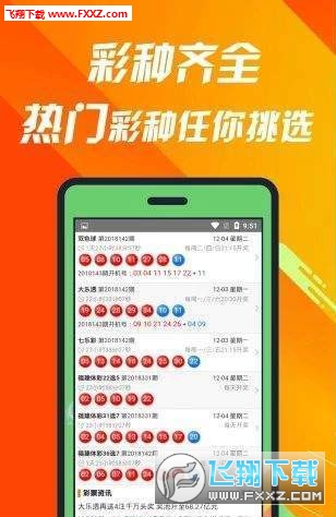 揭秘660678C0m王中王三肖一碼，真相與奧秘，揭秘，王中王三肖一碼真相與奧秘探索