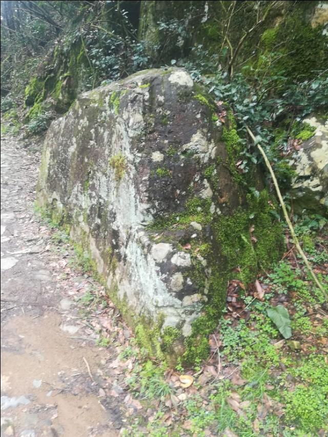 揭秘四不像劉伯溫一肖圖——探尋背后的神秘故事與SEO奧秘，揭秘四不像劉伯溫一肖圖背后的神秘故事與SEO奧秘探索