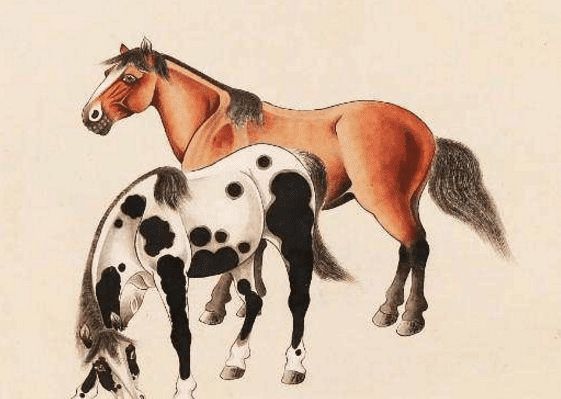 馬一王中王特平一肖圖，深度解析與SEO優(yōu)化策略，深度解析馬一王中王特平肖圖，SEO優(yōu)化策略探討