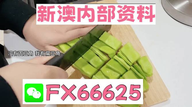 新澳精選資料免費(fèi)提供，探索優(yōu)質(zhì)資源的海洋，新澳精選資料免費(fèi)探索，優(yōu)質(zhì)資源海洋的開啟