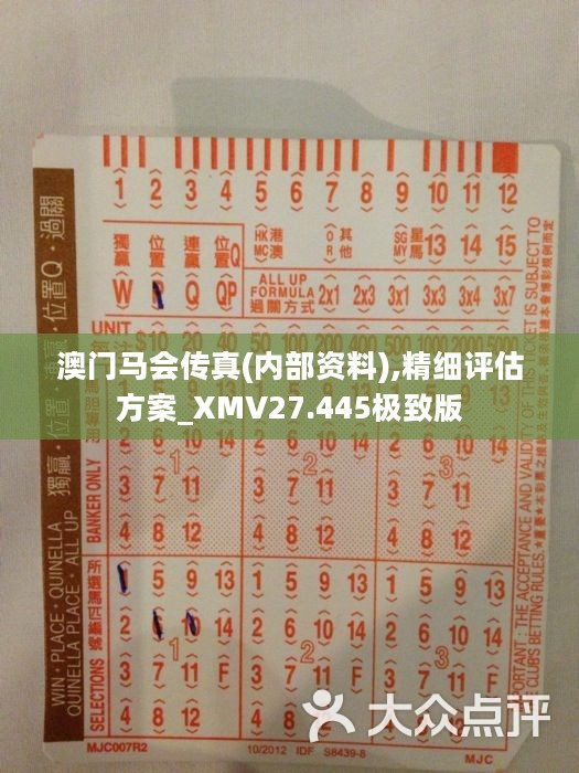 馬會傳真正版，探索正版馬會文化的魅力與價值，正版馬會文化的魅力與價值探索