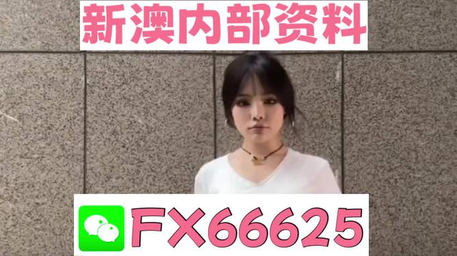 澳門正版資料大全完整版，探索與揭秘2025年澳門正版資料的世界，澳門正版資料大全揭秘，探索未來至2025年的奧秘世界