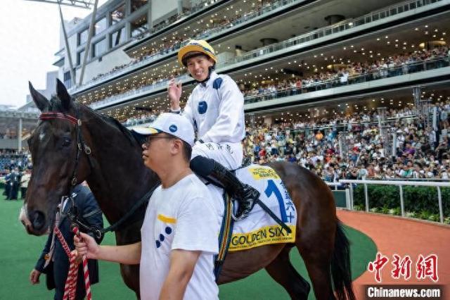 香港特馬王資料免費(fèi)公開，揭秘背后的秘密，香港特馬王資料揭秘，免費(fèi)公開背后的秘密