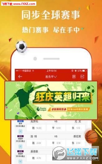 王中王一肖，探尋背后的故事與影響力（2019年），王中王一肖，背后的故事與影響力揭秘（2019年）