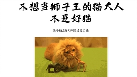 王中王013期指一生肖——探尋背后的秘密與奧秘，王中王013期生肖揭秘，探尋背后的秘密與奧秘之旅