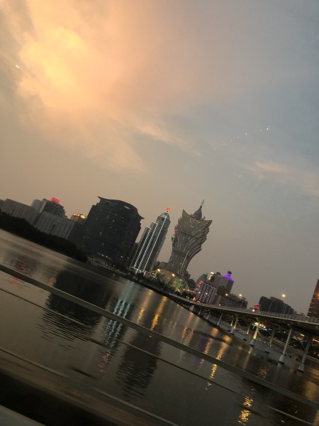 澳門今晚必開一肖一特，深度解析與預(yù)測，澳門今晚生肖特碼深度解析與預(yù)測，一肖一特必開趨勢探討