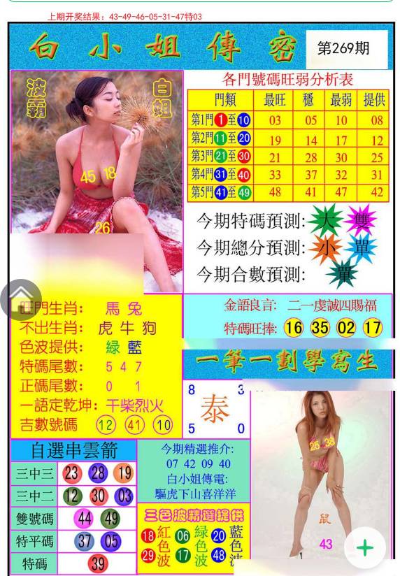 揭秘白小姐與王中王平持一肖的神秘面紗，白小姐與王中王，揭秘神秘生肖預(yù)測面紗