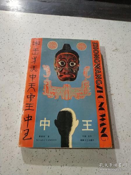 王中王資料與肖中特，深度解析，王中王資料與肖中特深度剖析