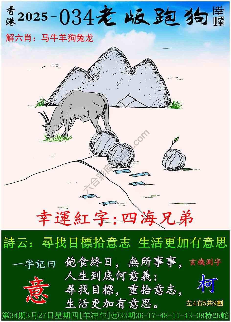 全新升級！探索7777788888新版跑狗資料，全新升級！探索跑狗資料7777788888新版揭秘