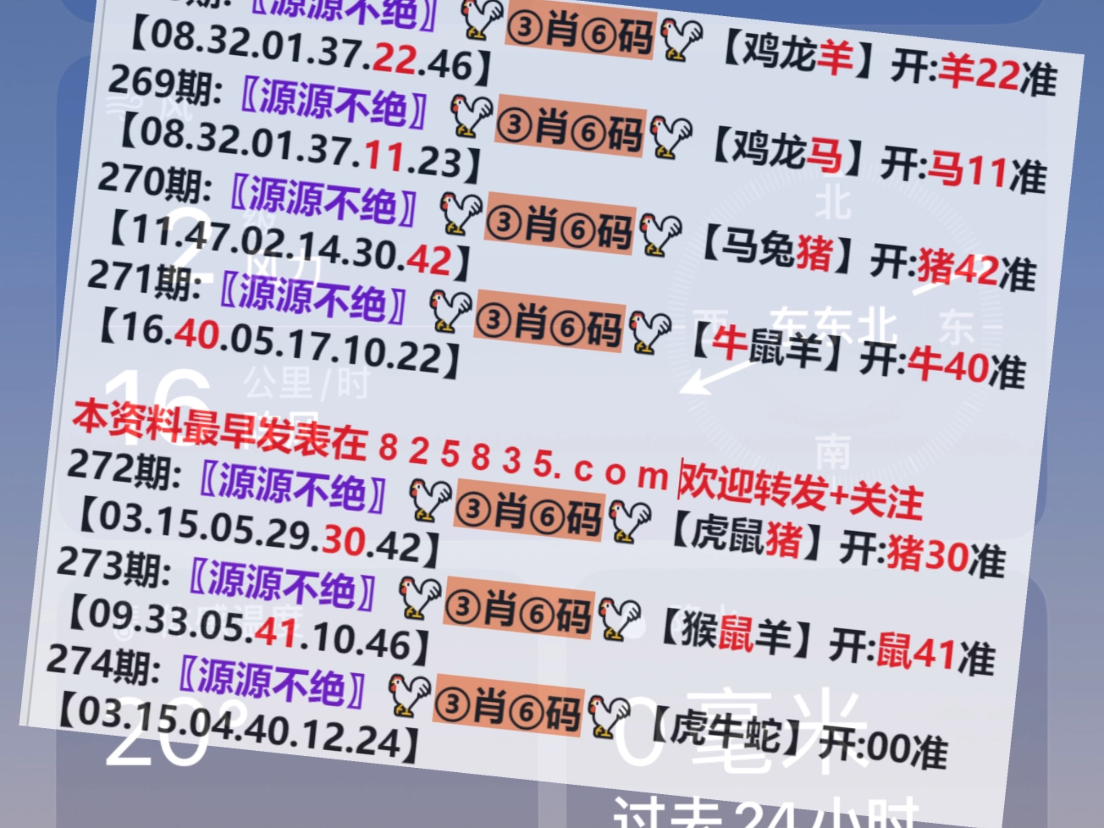 澳門一肖一碼開獎結(jié)果，揭秘彩票背后的秘密，澳門彩票開獎結(jié)果揭秘，一肖一碼背后的秘密