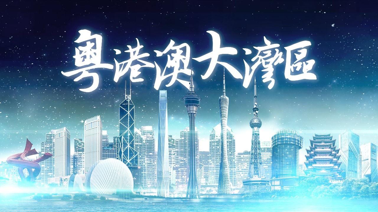 2025年香港正版免費(fèi)資料全面解析，香港正版免費(fèi)資料全面解析（2025版）