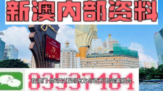 新澳新澳門正版資料，探索與解析，新澳新澳門正版資料深度解析與探索