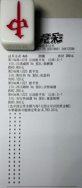 揭秘買一肖中獎的賠率與風(fēng)險，你真的準(zhǔn)備好了嗎？，揭秘買一肖中獎背后的賠率與風(fēng)險，你真的做好準(zhǔn)備了嗎？