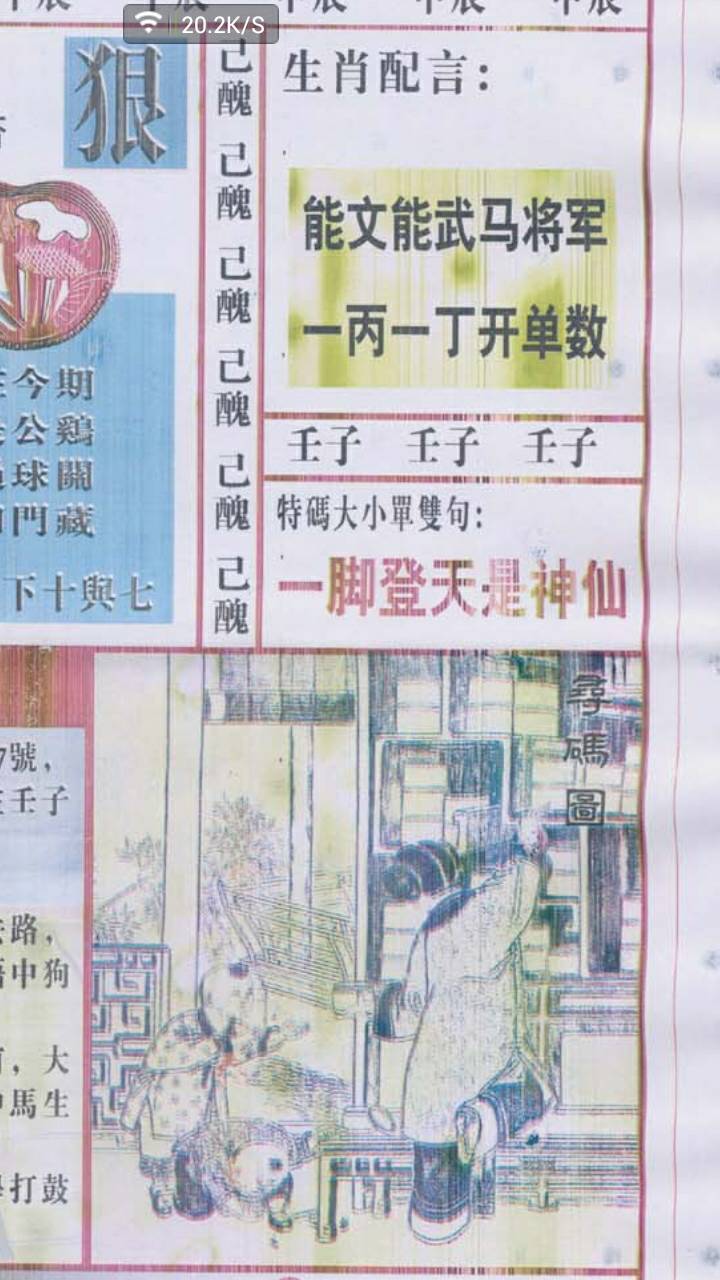 仍是王中王，揭秘生肖之王的神秘面紗——打一生肖，揭秘生肖之王，王中王的神秘面紗——生肖揭秘