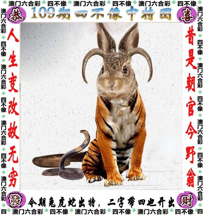 王中王四不像必中一肖——揭秘背后的秘密，揭秘王中王四不像必中一肖的秘密真相
