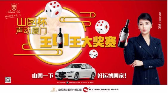 揭秘王中王背后的故事，從肖中的視角看其在SEO領(lǐng)域的輝煌成就，肖中視角下的王中王，SEO領(lǐng)域的輝煌成就揭秘