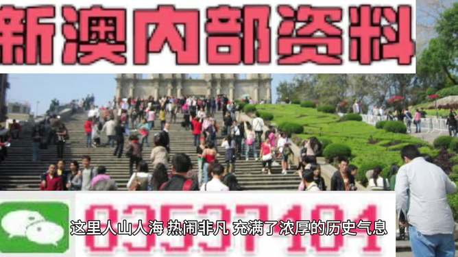 澳門最精準(zhǔn)免費(fèi)資料大全旅游團(tuán)，探索澳門之旅的完美選擇，澳門最精準(zhǔn)免費(fèi)資料大全旅游團(tuán)，探索澳門之旅的不二之選