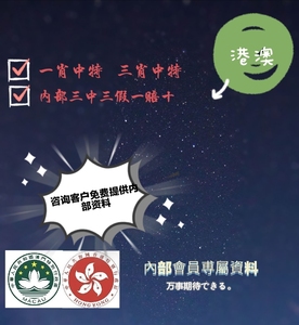 揭秘香港王中王，探尋肖中特背后的秘密，揭秘香港王中王背后的秘密與肖中特真相探索