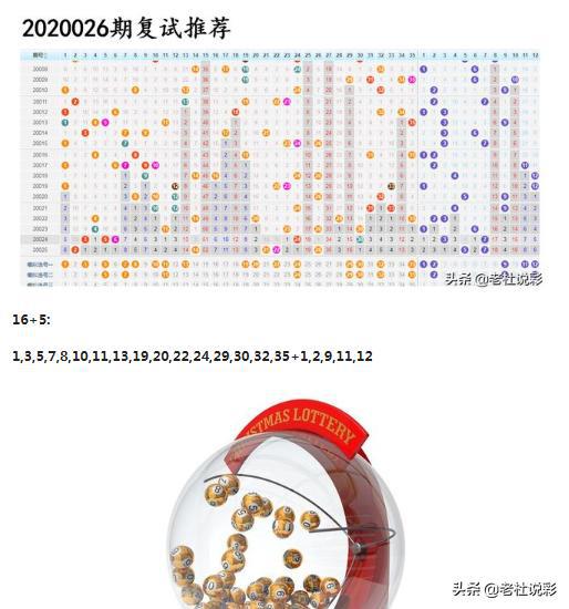 王中王026期指一生肖，深度解讀與SEO優(yōu)化策略，王中王026期生肖深度解讀與SEO優(yōu)化策略全解析