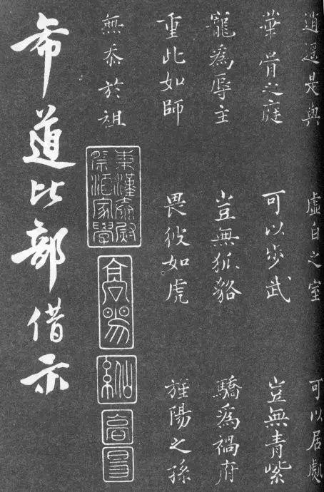 一肖二碼中特的意思解析，一肖二碼中特的意思深度解析