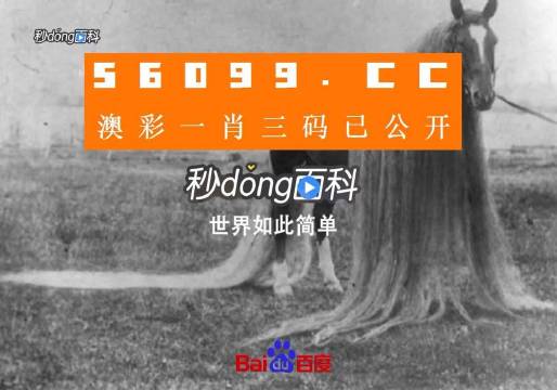 澳門一肖一碼一必中一肖舟山，揭秘彩票秘密，掌握幸運之鑰，揭秘彩票秘密，澳門一肖一碼必中秘籍與幸運之鑰在舟山開啟