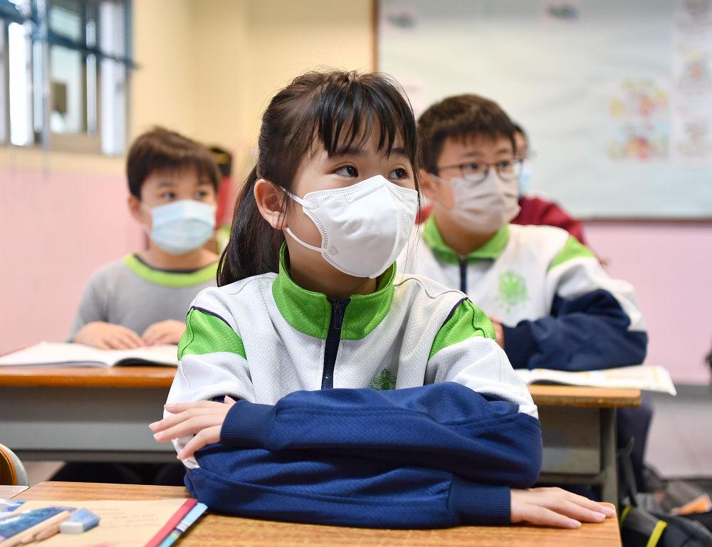 香港今晚必開一肖，深度解析與預(yù)測，香港今晚生肖預(yù)測，深度解析與獨家預(yù)測