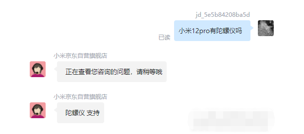 王中王一肖碼，探索關鍵詞背后的奧秘，王中王一肖碼，揭秘關鍵詞背后的奧秘