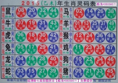揭秘2025十二生肖與數(shù)字彩票的神奇聯(lián)系——49碼表全解析，揭秘十二生肖與數(shù)字彩票的神秘聯(lián)系，2025年49碼表深度解析