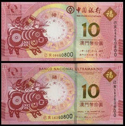 澳門天天彩期期精準十二生肖預(yù)測——揭秘彩票背后的秘密，澳門天天彩期期精準十二生肖預(yù)測，彩票背后的秘密大揭秘