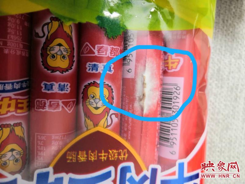 王中王孟料大全與生肖揭秘，揭秘打一肖背后的秘密，王中王孟料大全與生肖揭秘，探尋背后神秘的生肖秘密