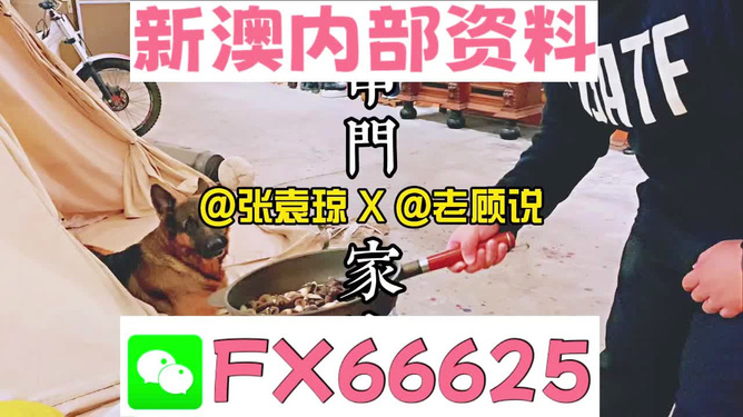 新澳門(mén)精準(zhǔn)資料大全，管家婆料解析與探索，澳門(mén)精準(zhǔn)資料大全，管家婆料解析與深度探索